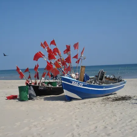 Sanddornperle -